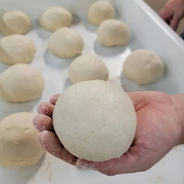A hand holds a round ball of pizza dough, with many more dough balls in a tray behind it.